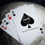 Nasa Black Hole “Meatball” Logo Playing Cards