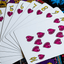 KEVIN STAAB 40TH ANNIVERSARY PIRATE PLAYING CARDS