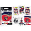 Florida Panthers Playing Cards - Masterpieces