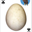 Bird Eggs Playing Cards