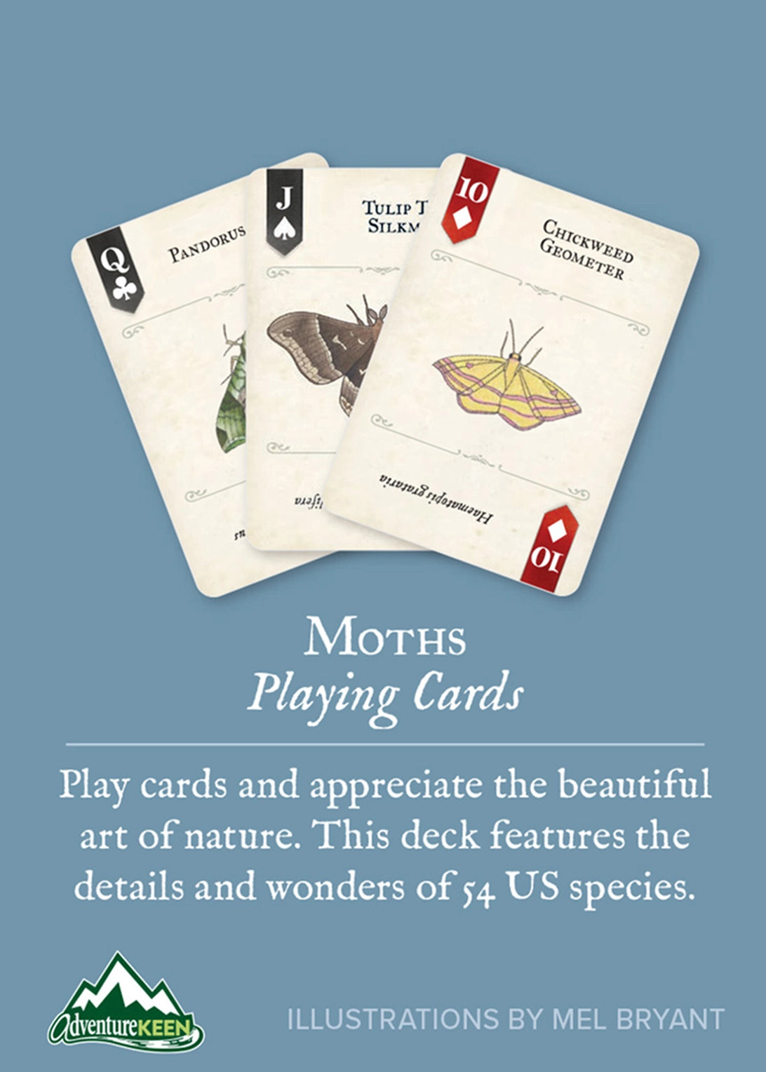 Moths Playing Cards