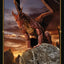 Tarot Draconis Deck Lo Scarabeo