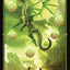 Tarot Draconis Deck Lo Scarabeo