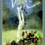 Fairy Lights Tarot Deck Lo Scarabeo