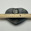 Orthoceras Fossil Heart Shaped Dish
