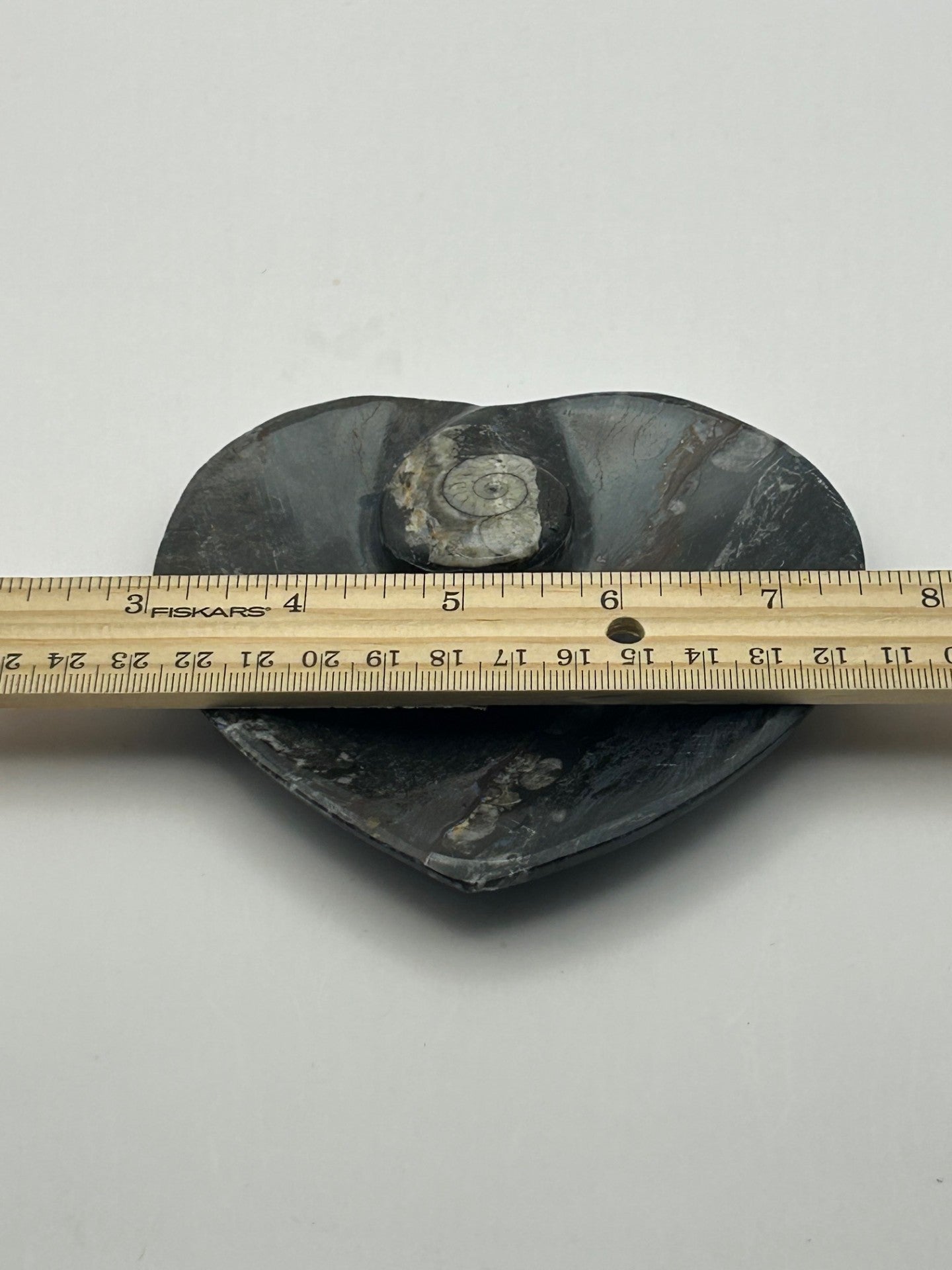Orthoceras Fossil Heart Shaped Dish