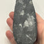 Orthoceras Fossil Spear