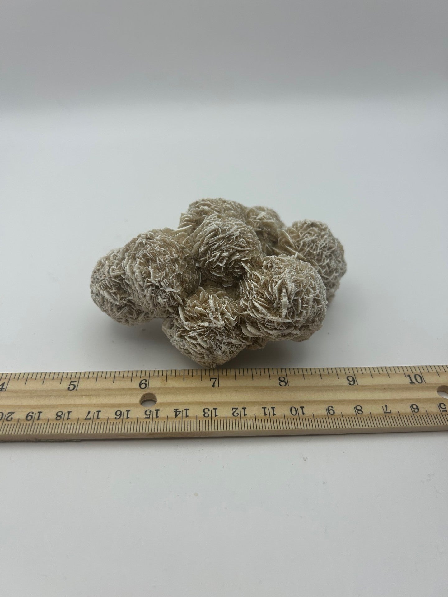Desert Rose Cluster