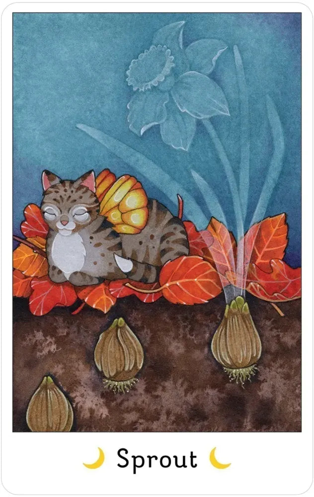 Affirmations of the Fairy Cats Deck USGS