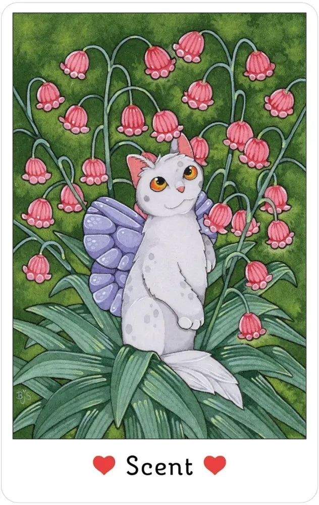 Affirmations of the Fairy Cats Deck USGS