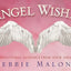 Angel Wishes