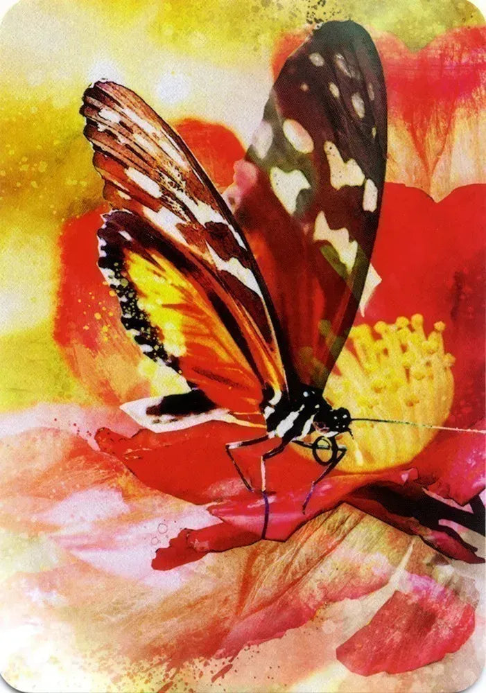 Butterfly Affirmations Cards Blue Angel