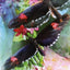 Butterfly Affirmations Cards Blue Angel