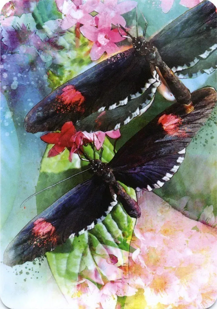 Butterfly Affirmations Cards Blue Angel