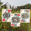 Dragonfly Playing Cards Teal & Lavender Edition - A PCD Original