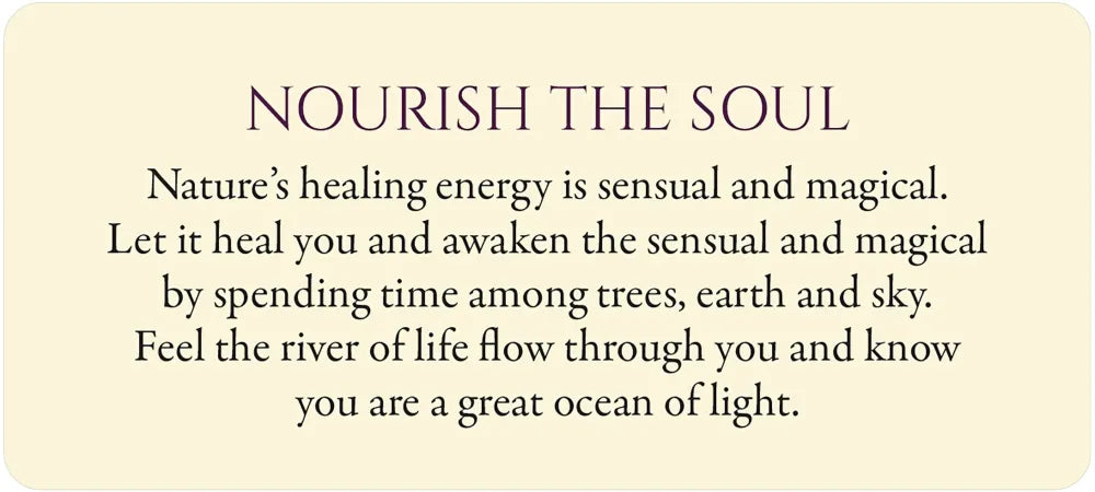 Eternal Light: 55 Guidance Cards for All That You Are