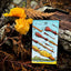 The Mushroom Hunter’s Arcanum - Gold Gilded, Fungi-Themed Tarot Deck
