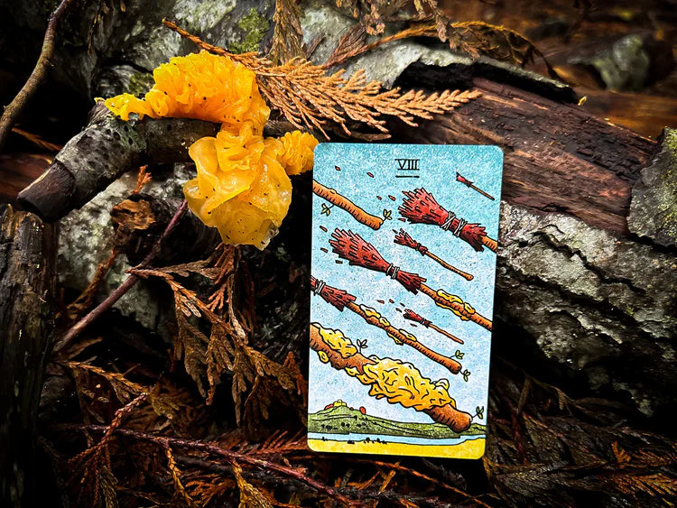 The Mushroom Hunter’s Arcanum - Gold Gilded, Fungi-Themed Tarot Deck