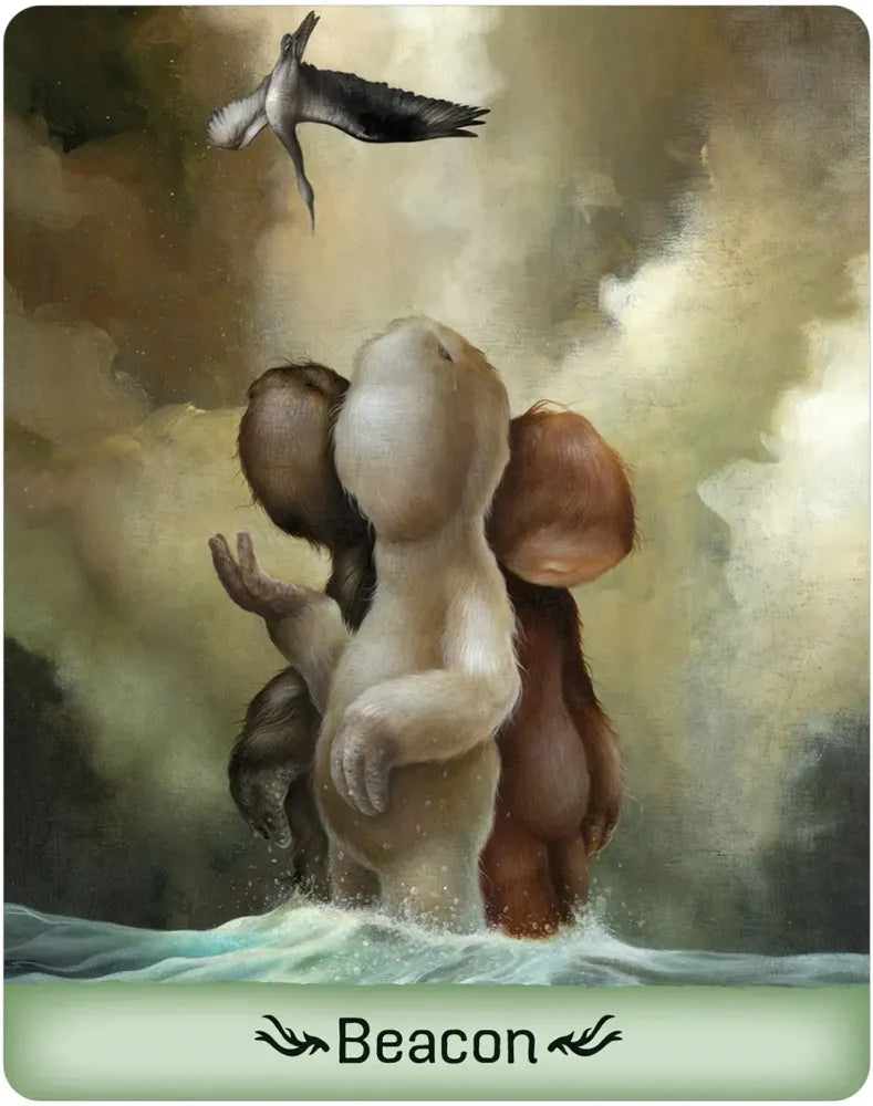 Gentle Creatures Wisdom Deck USGS