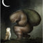 Gentle Creatures Wisdom Deck USGS