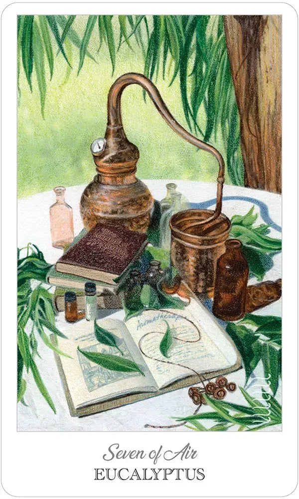 The Herbcrafter’s Tarot Deck