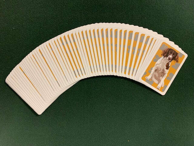 PlayingCardDecks.com-Springer Spaniel Dog Playing Cards