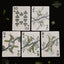 Mosaic Mantis Playing Cards by Improv Playing Cards