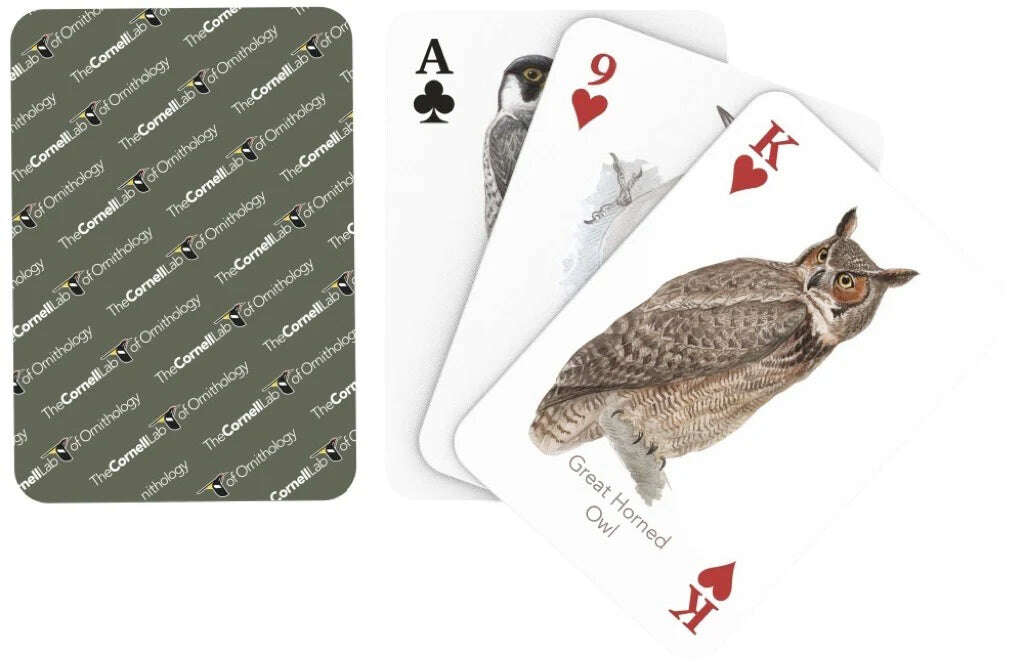 PlayingCardDecks.com-Birds of Eastern / Central North America Playing Cards NYPC
