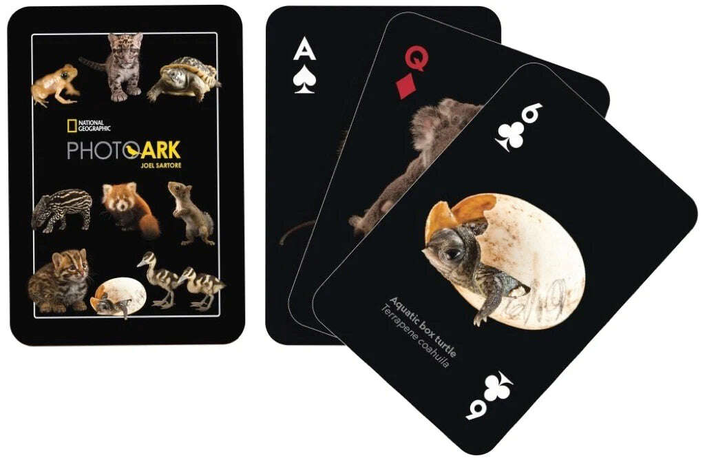 PlayingCardDecks.com-National Baby Animals Playing Cards NYPC