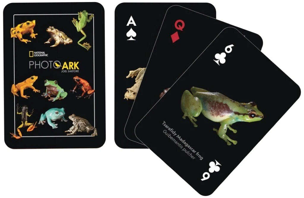 PlayingCardDecks.com-National Geographic Amphibians Playing Cards NYPC