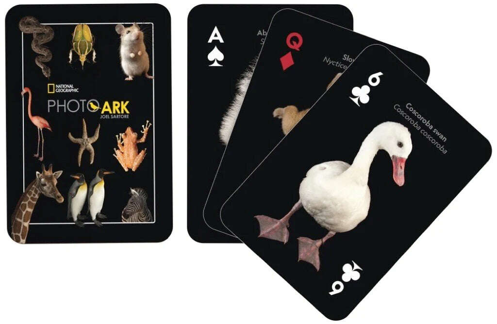 PlayingCardDecks.com-National Geographic Greatest Hits Playing Cards NYPC