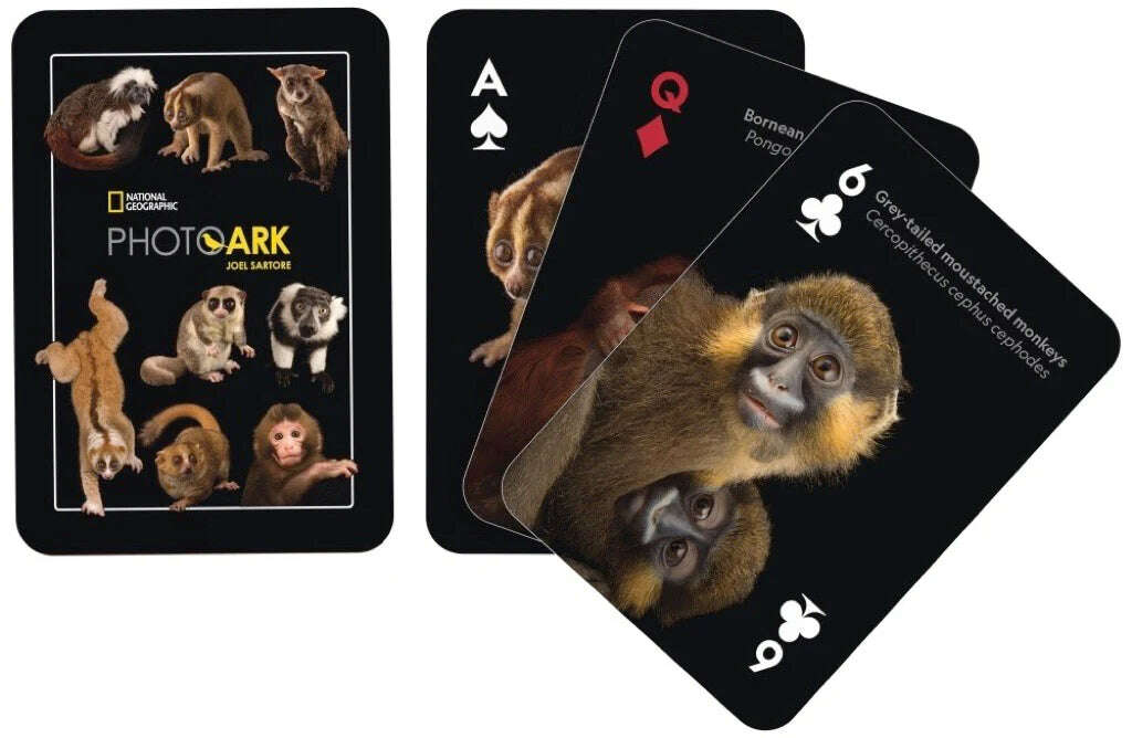 PlayingCardDecks.com-National Geographic Primates Playing Cards NYPC