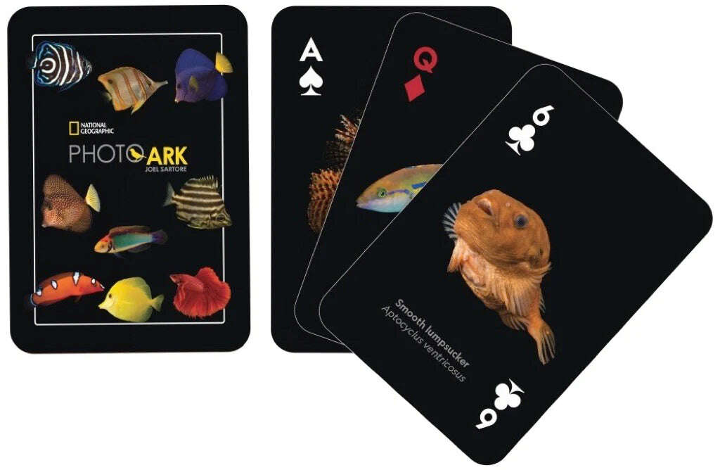 PlayingCardDecks.com-National Geographic Fish Playing Cards NYPC