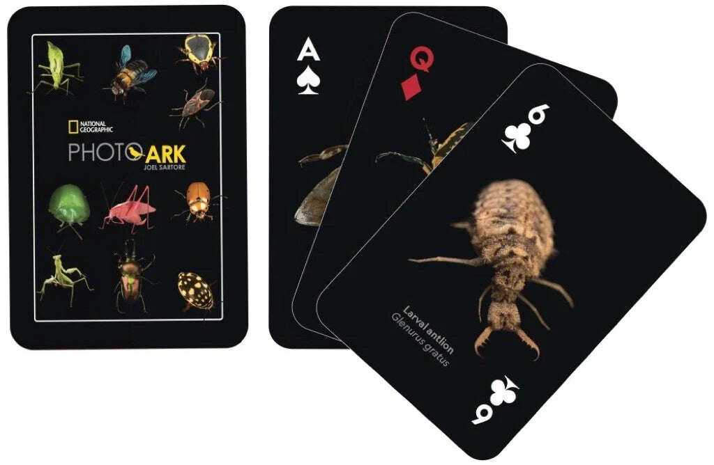 Card Pointed Insects National Geographic Insects Playing Cards NYPC – PlayingCardDecks.com