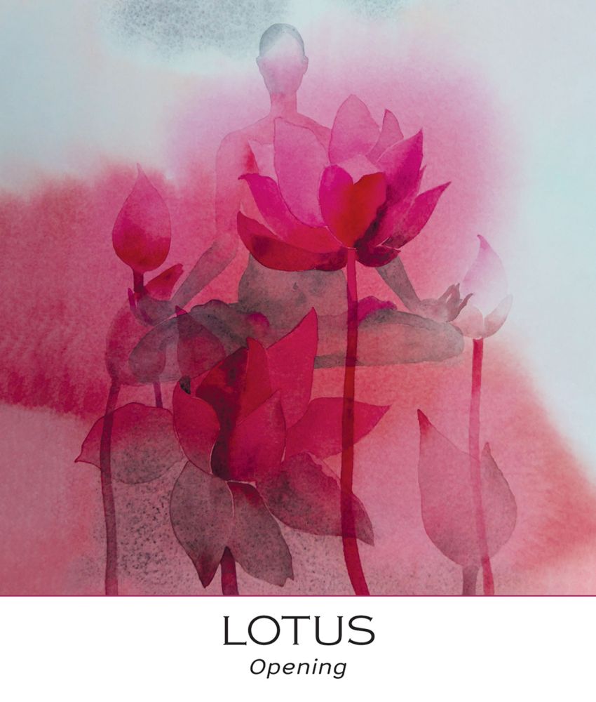 Nature & Soul Yoga Wisdom Cards USGS