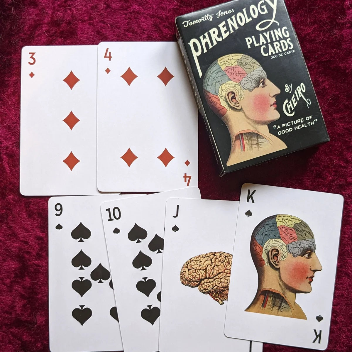 Palmistry & Phrenology Collectible Playing Cards by Temerity Jones of London