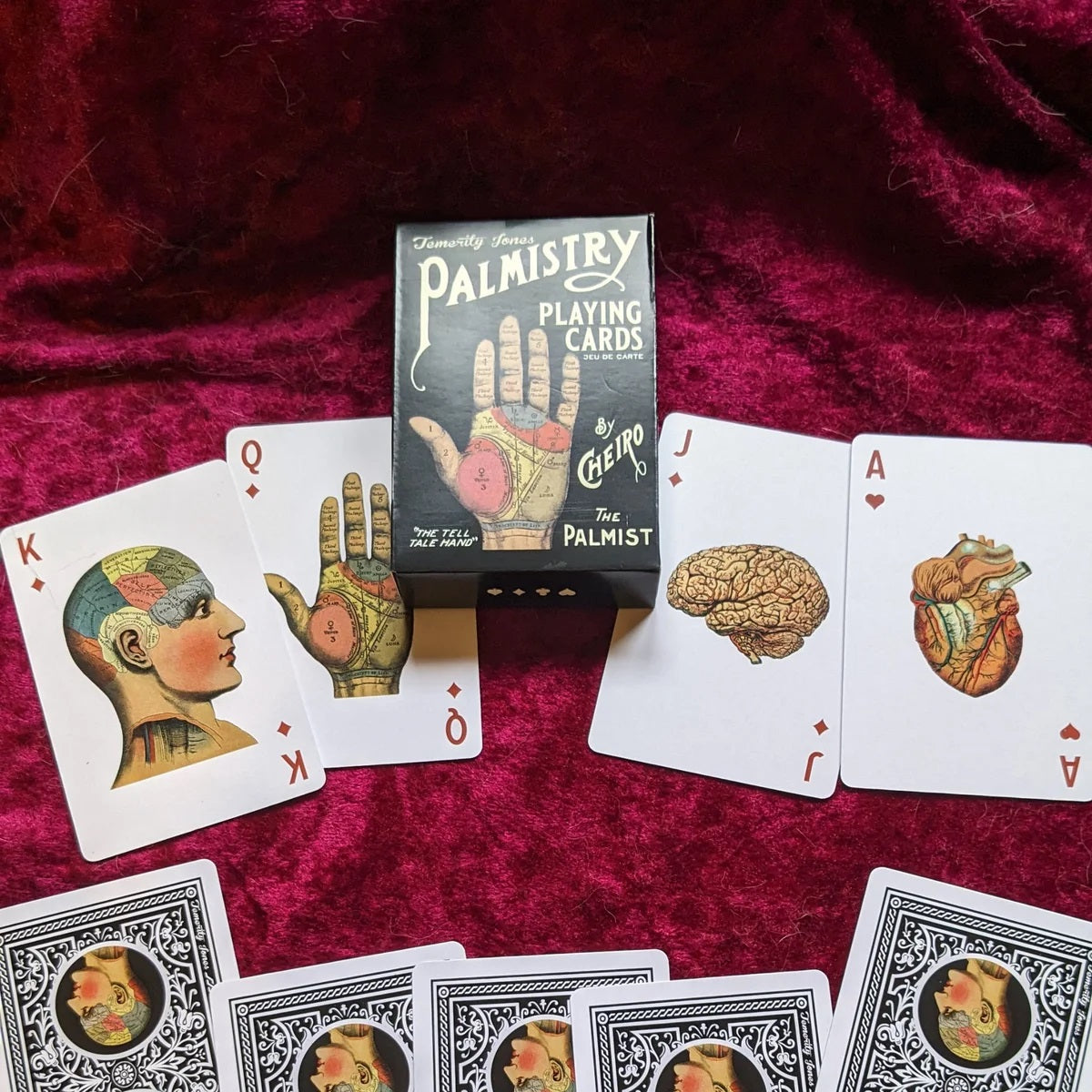 Palmistry & Phrenology Collectible Playing Cards by Temerity Jones of London