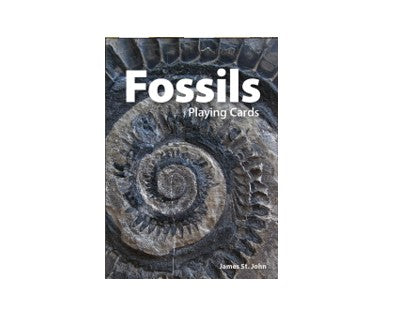 Fossils Playing Cards