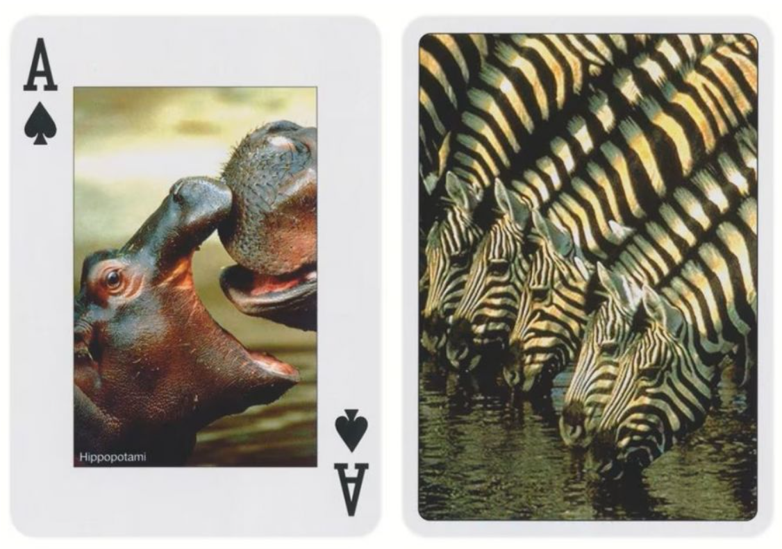 Animals of the Wild Playing Cards by Piatnik