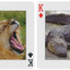 Animals of the Wild Playing Cards by Piatnik