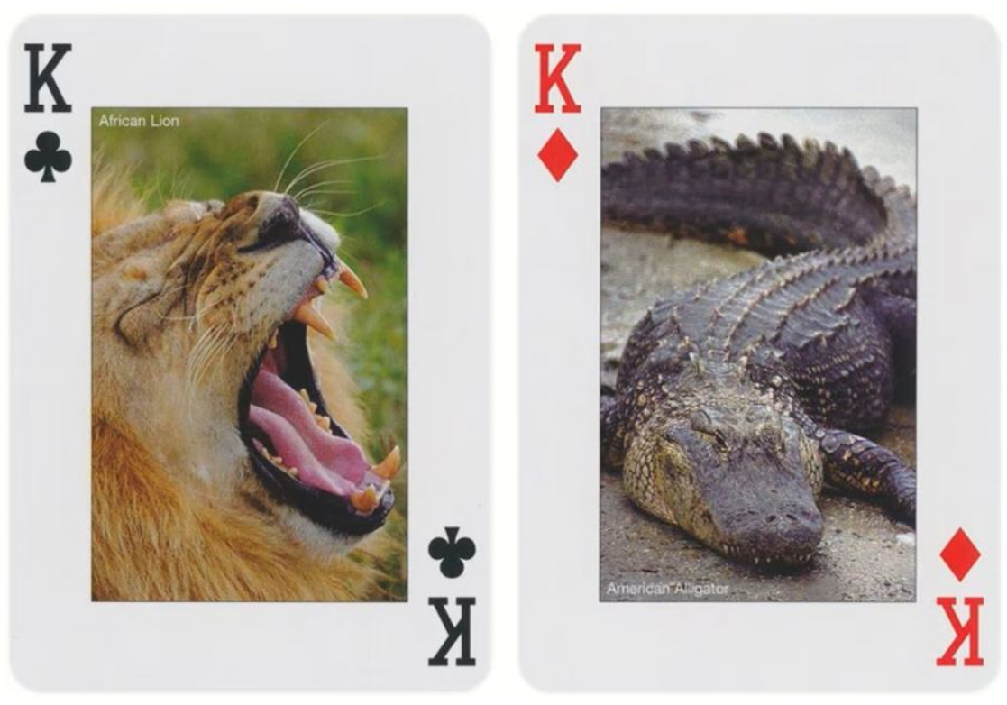 Animals of the Wild Playing Cards by Piatnik