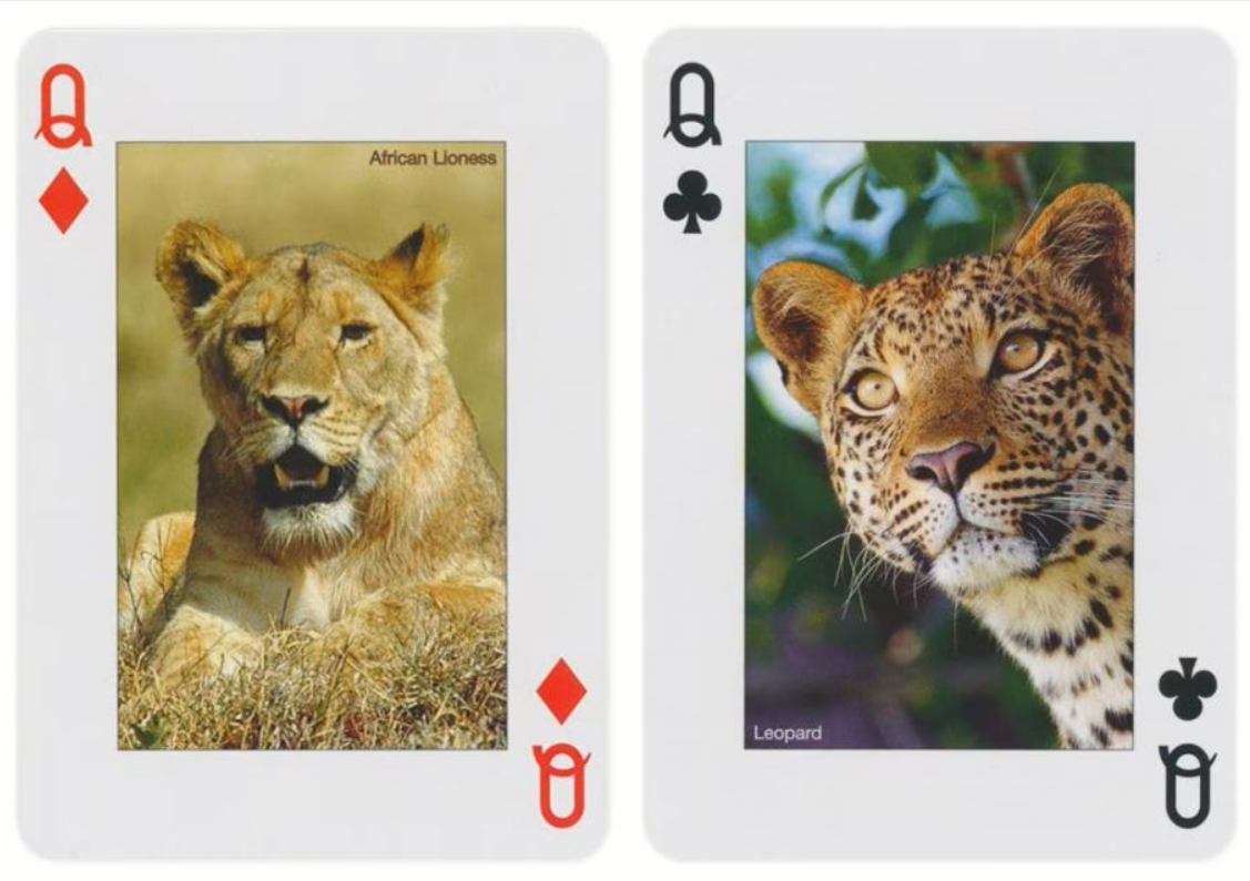 Animals of the Wild Playing Cards by Piatnik