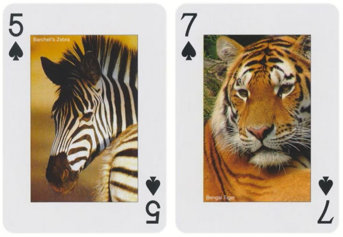 Animals of the Wild Playing Cards by Piatnik