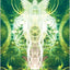Visions of the Soul: Meditation and Portal Cards