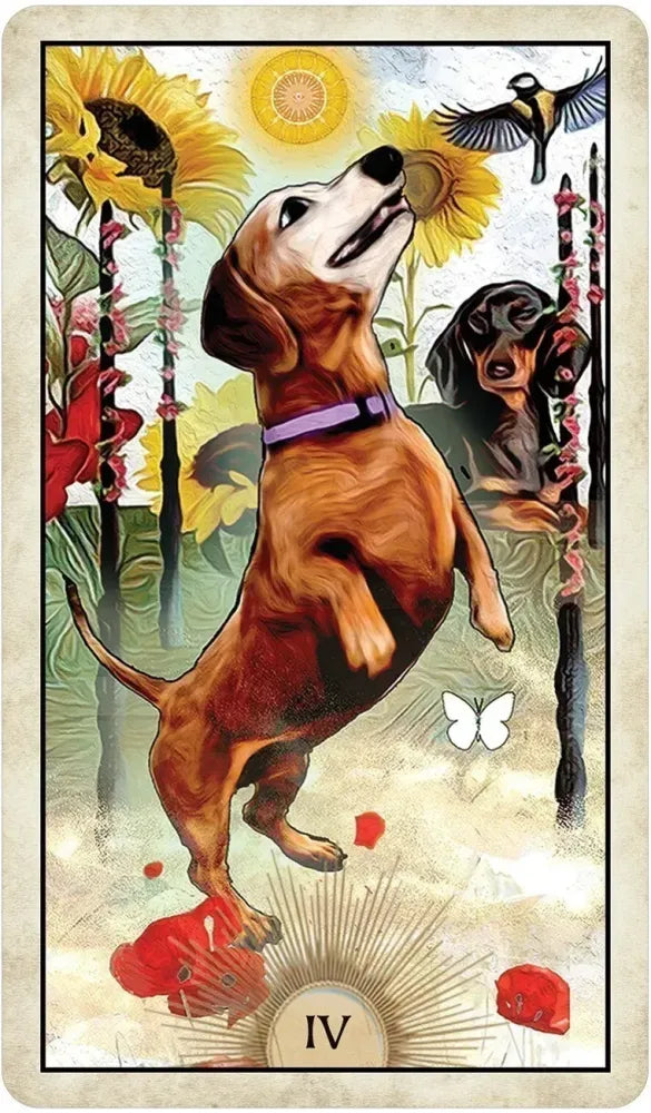 Wise Dog Tarot Deck USGS