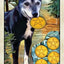 Wise Dog Tarot Deck USGS