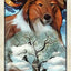 Wise Dog Tarot Deck USGS