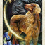 Wise Dog Tarot Deck USGS