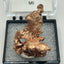 Native Copper