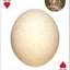 Bird Eggs Playing Cards